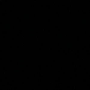 Meet your Posher, Hunter